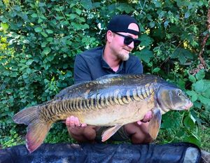 Mirror Carp