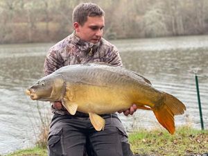 Mirror Carp