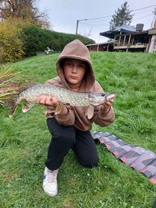 Northern Pike