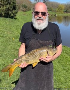 Common Carp