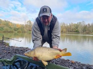 Common Carp
