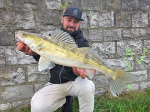 Zander