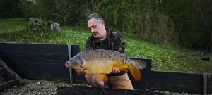 Mirror Carp