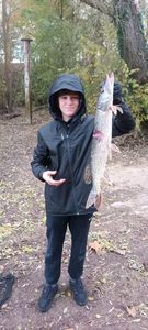 Northern Pike