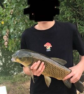 Grass Carp