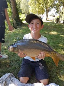 Mirror Carp