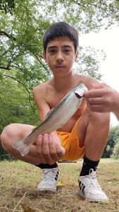 Rainbow Trout