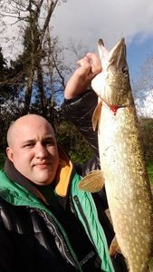 Northern Pike