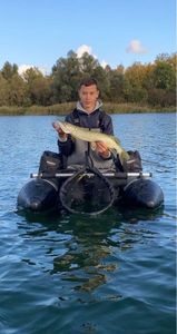 Chain Pickerel
