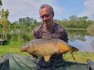 Mirror Carp