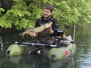 Northern Pike