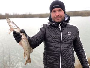 Northern Pike