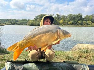 Mirror Carp