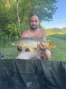 Mirror Carp
