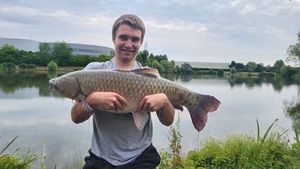Silver Carp