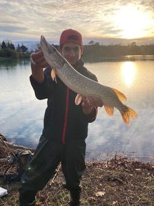 Northern Pike