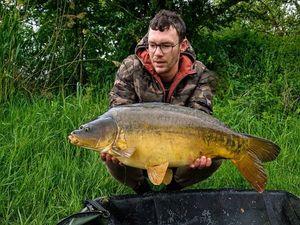 Mirror Carp
