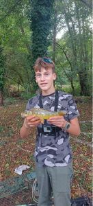 Mirror Carp