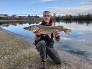 Northern Pike