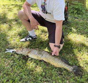 Northern Pike