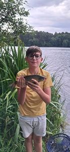 Common Bream