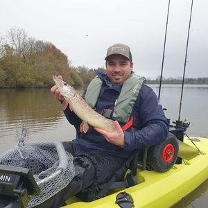 Northern Pike