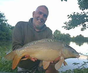 Mirror Carp