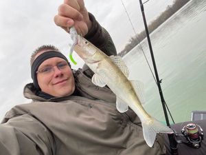 Zander