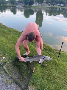 Sturgeon