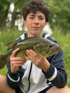 Largemouth Bass