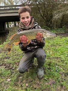 Northern Pike