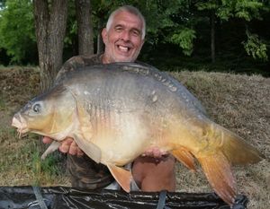 Mirror Carp