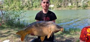 Mirror Carp