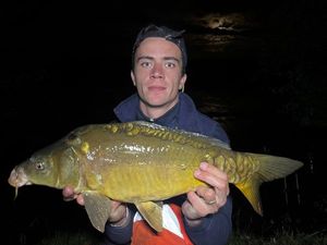 Mirror Carp