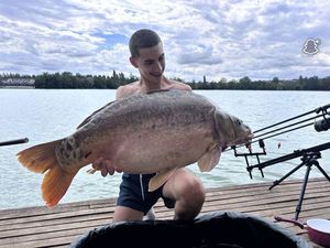 Mirror Carp