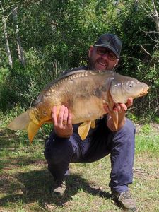 Common Carp