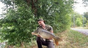 Mirror Carp