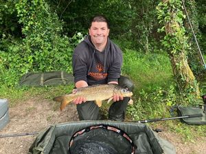 Common Carp