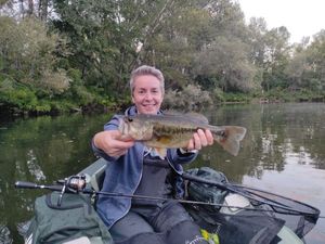 Largemouth Bass
