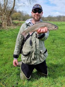 Brook Trout