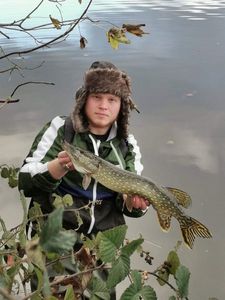 Northern Pike