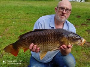 Common Carp