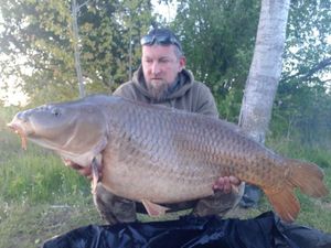Common Carp