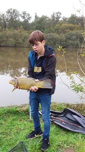 Tench