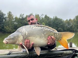 Mirror Carp