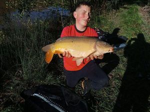 Mirror Carp