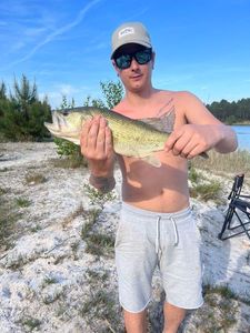 Largemouth Bass