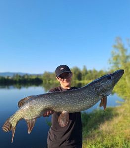 Northern Pike