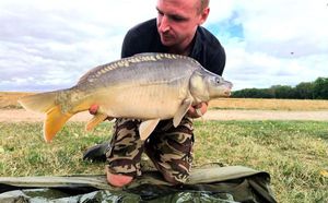 Mirror Carp