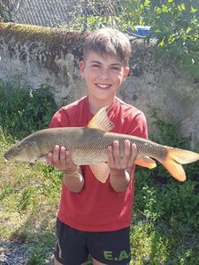 Barbel